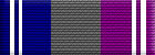 Departmental Service Badge: Support